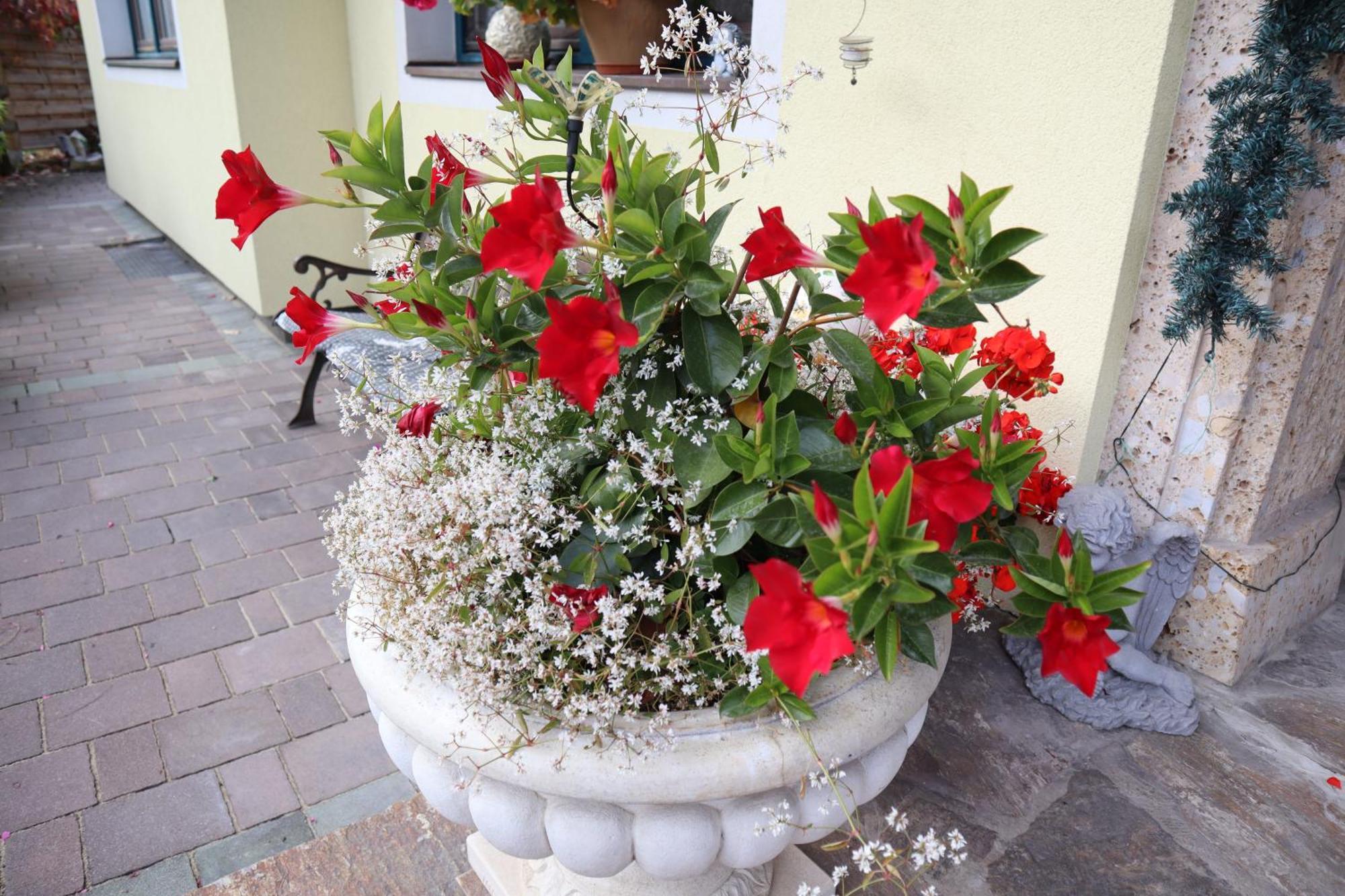Landhaus-Appartements Warraich Schladming Kültér fotó